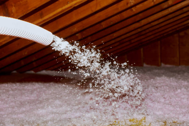 Best Commercial Insulation in Sturtevant, WI